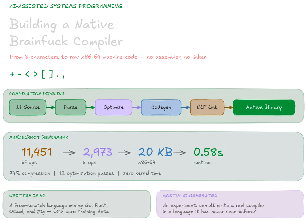 Visualization of the bfcc compilation pipeline, showing stages from source code to optimized IR to machine code to ELF binary.